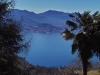 Palmen-und-Lago.jpg